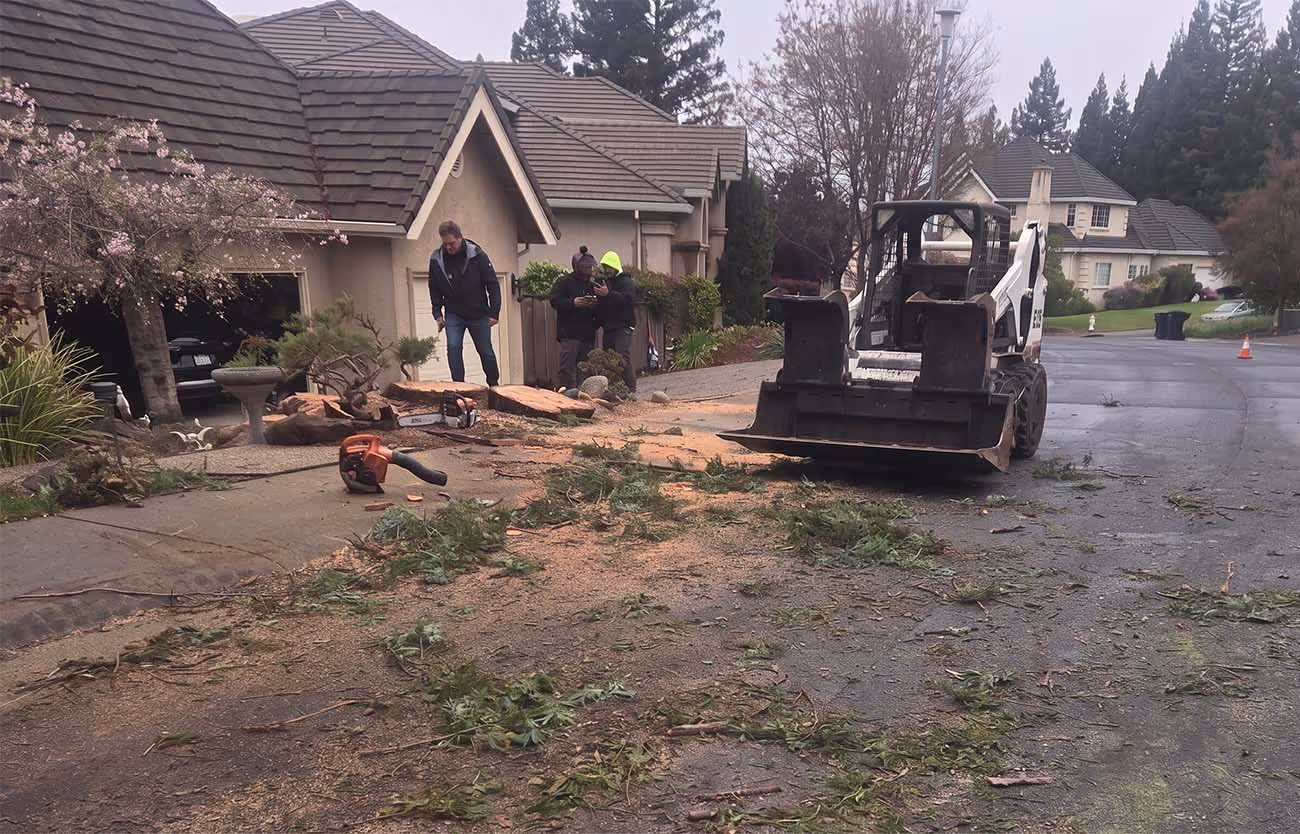 Residential street with workers cleaning up tree debris using a skid steer loader and chainsaws near a driveway.