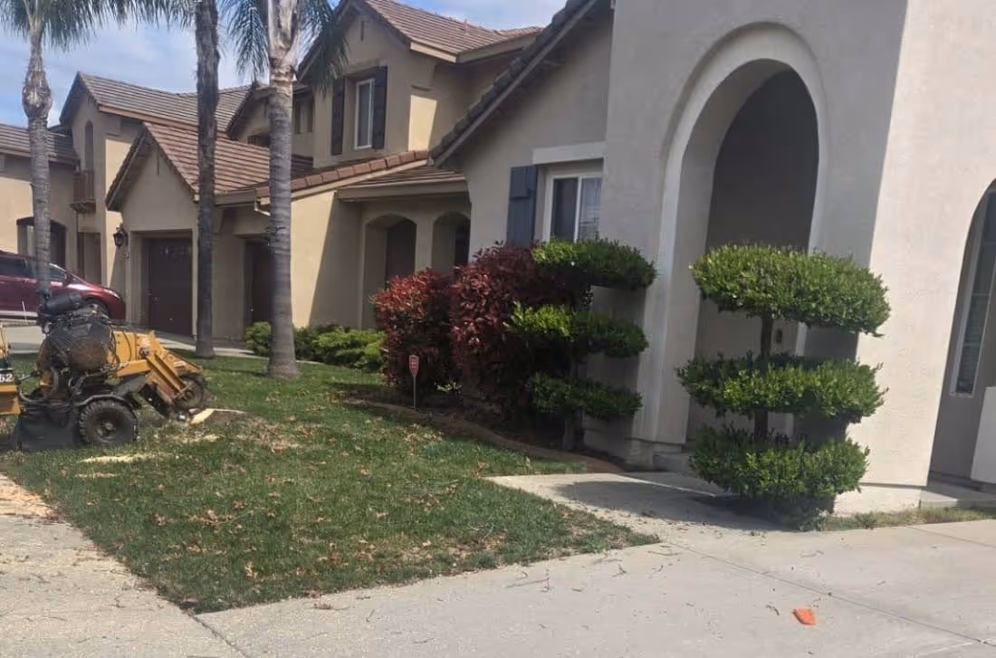Residential front yard with trimmed bushes, palm trees, and a stump grinding machine on the grass near the driveway.
